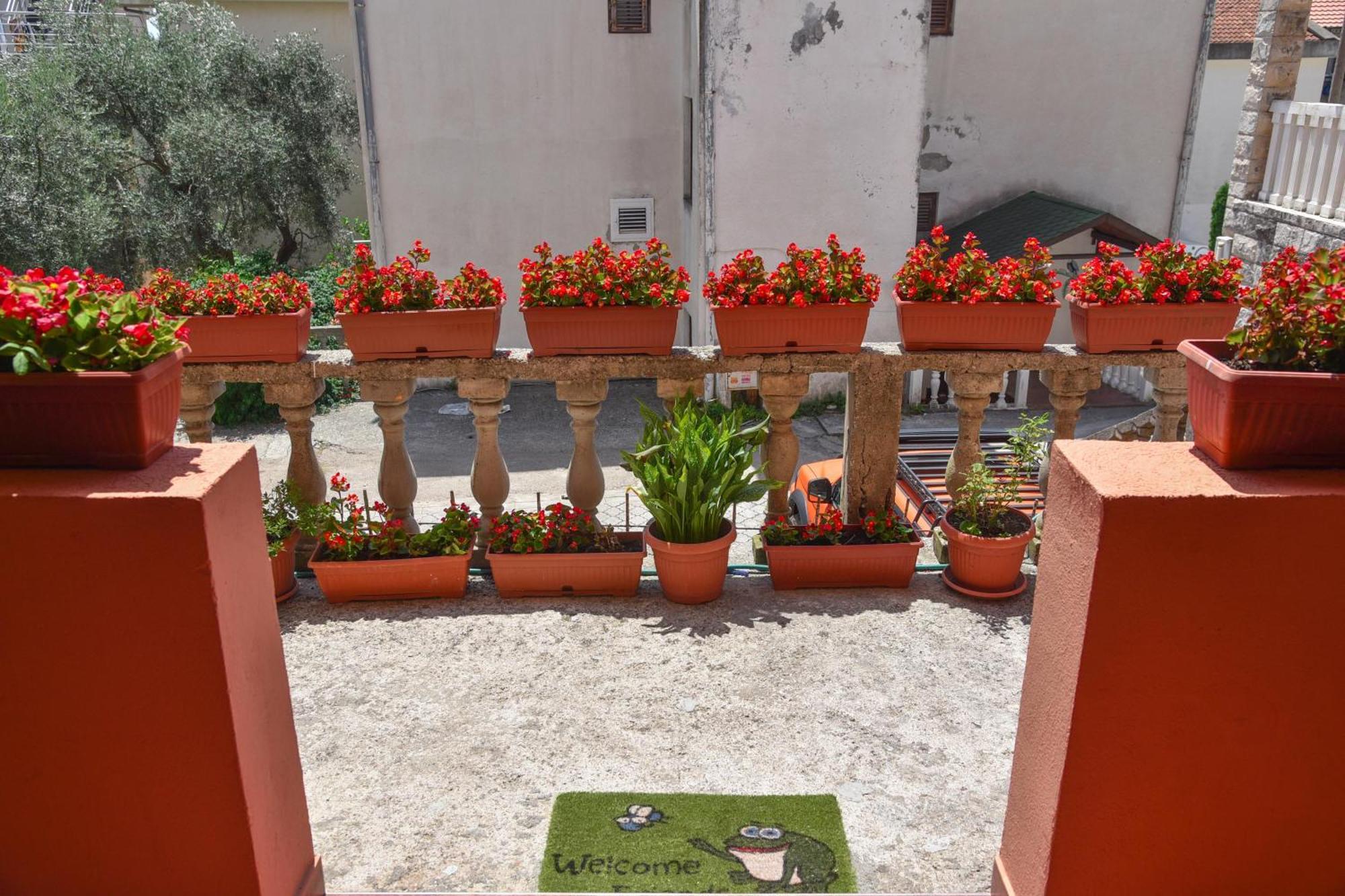 Vila Apartments Lidija Petrovac Ngoại thất bức ảnh