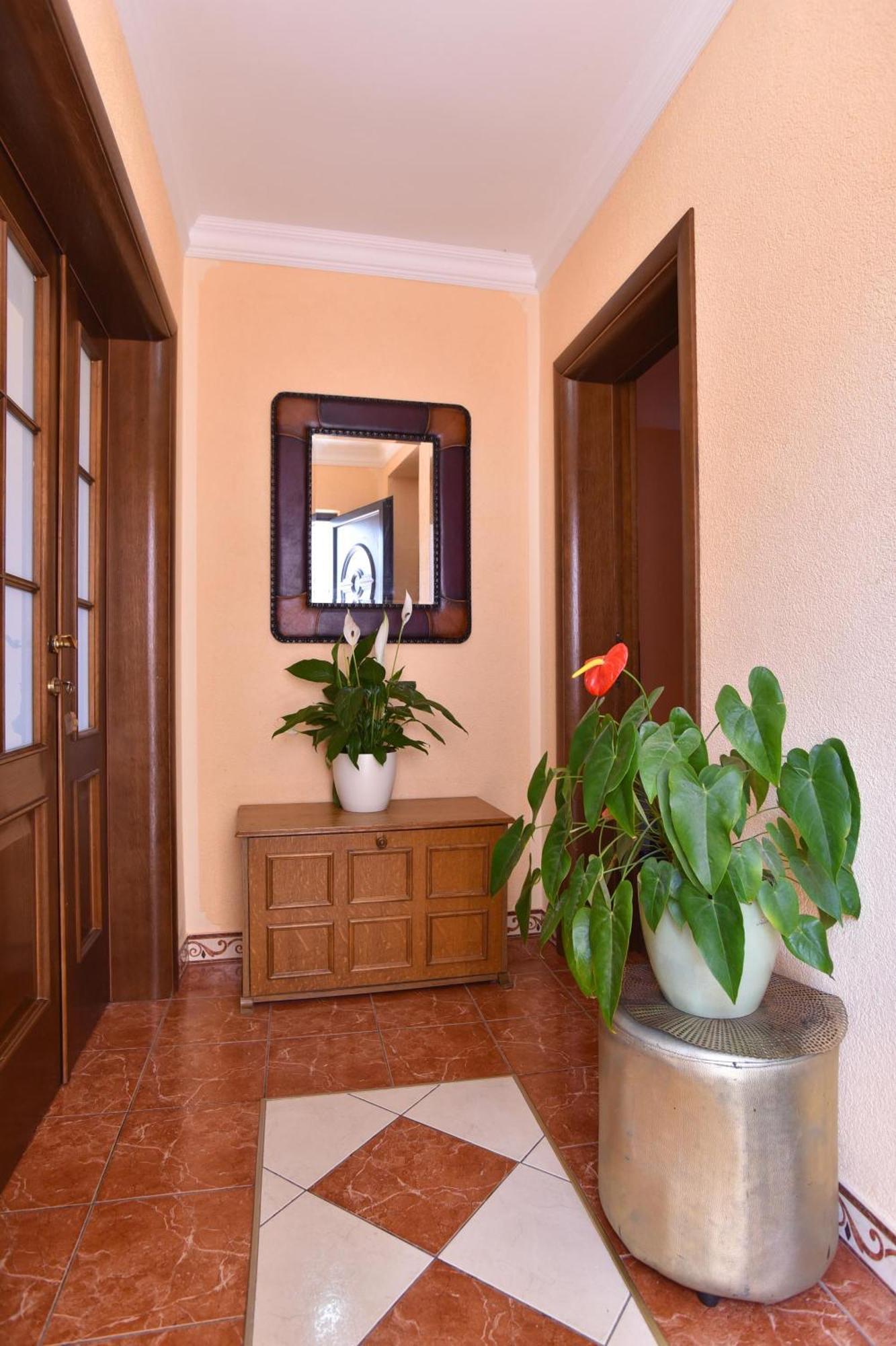 Vila Apartments Lidija Petrovac Ngoại thất bức ảnh